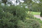 Hawksburnresidential-landscaping-35.jpg; ?>