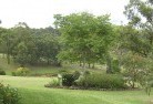 Hawksburnresidential-landscaping-40.jpg; ?>